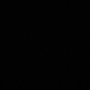 Meet your Posher, Willie joe